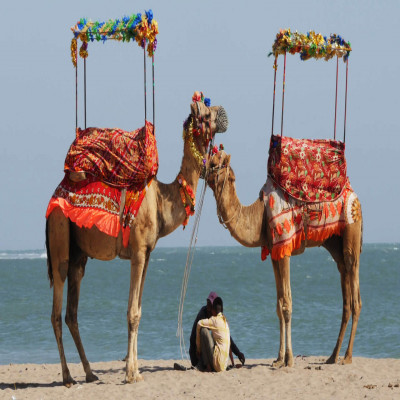 Gir Somnath District Places to See